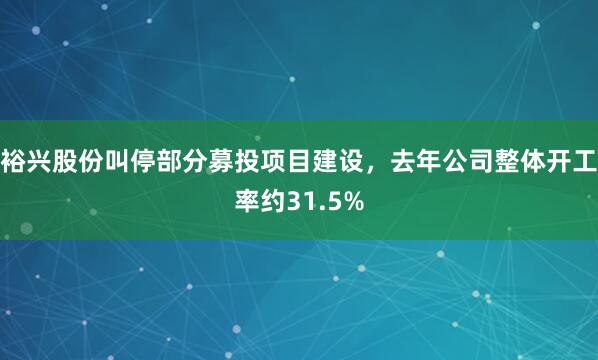 裕兴股份叫停部分募投项目建设，去年公司整体开工率约31.5%