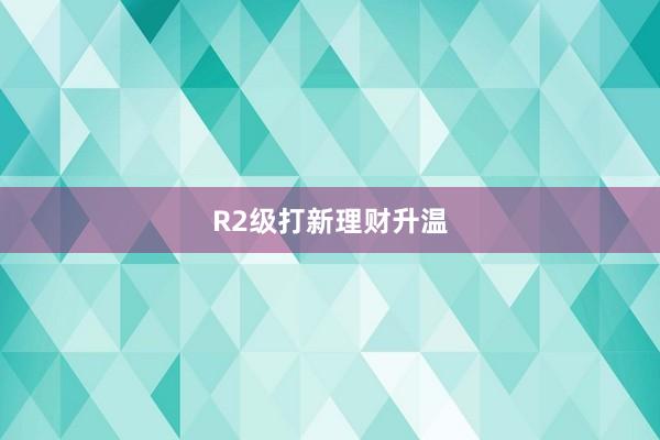 R2级打新理财升温