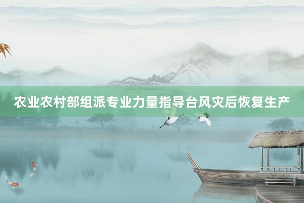 农业农村部组派专业力量指导台风灾后恢复生产