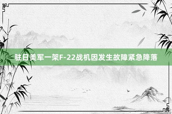 驻日美军一架F-22战机因发生故障紧急降落