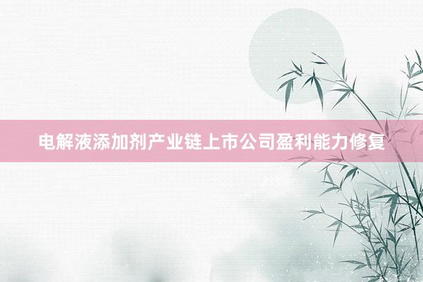 电解液添加剂产业链上市公司盈利能力修复