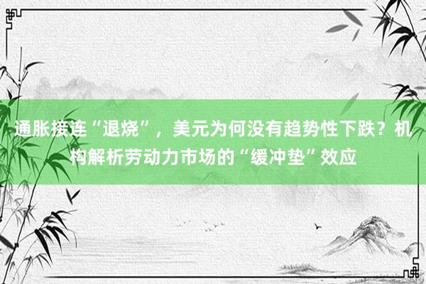 通胀接连“退烧”，美元为何没有趋势性下跌？机构解析劳动力市场的“缓冲垫”效应