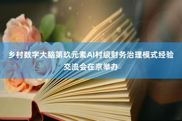 乡村数字大脑第玖元素AI村级财务治理模式经验交流会在京举办