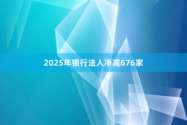 2025年银行法人净减676家