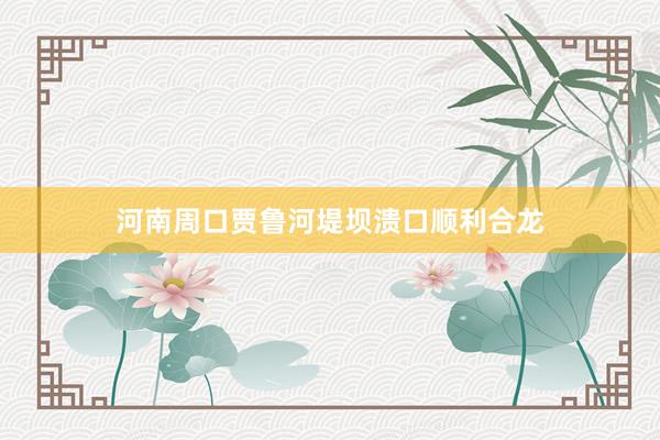 河南周口贾鲁河堤坝溃口顺利合龙