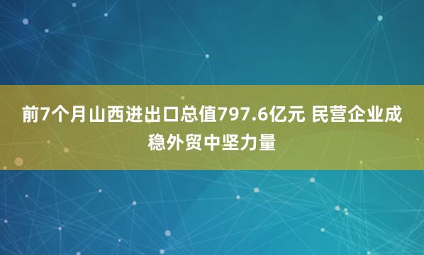 前7个月山西进出口总值797.6亿元 民营企业成稳外贸中坚力量