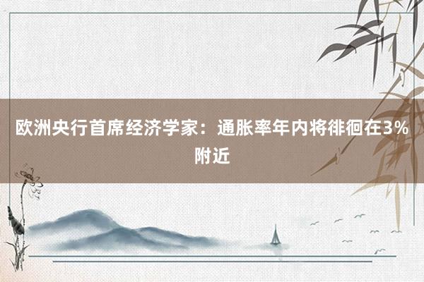 欧洲央行首席经济学家：通胀率年内将徘徊在3%附近