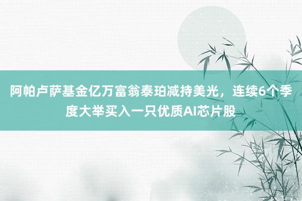 阿帕卢萨基金亿万富翁泰珀减持美光，连续6个季度大举买入一只优质AI芯片股