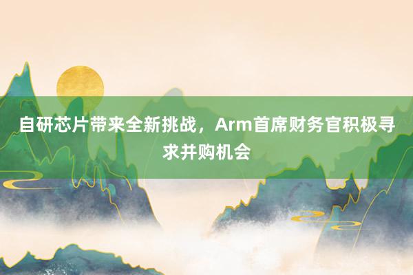 自研芯片带来全新挑战，Arm首席财务官积极寻求并购机会