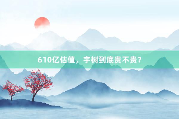610亿估值，宇树到底贵不贵？