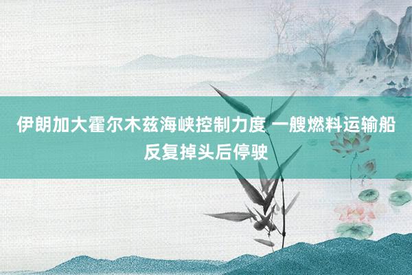 伊朗加大霍尔木兹海峡控制力度 一艘燃料运输船反复掉头后停驶