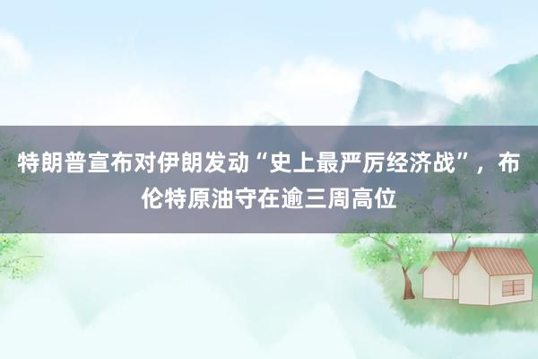 特朗普宣布对伊朗发动“史上最严厉经济战”，布伦特原油守在逾三周高位
