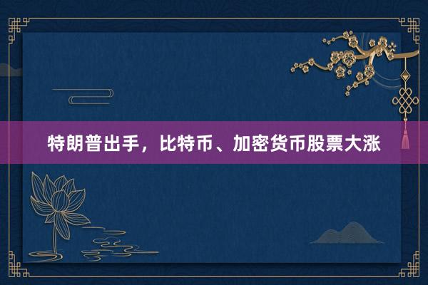 特朗普出手，比特币、加密货币股票大涨