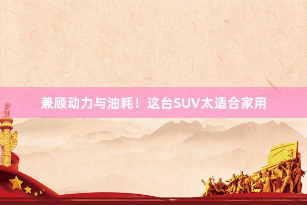 兼顾动力与油耗！这台SUV太适合家用