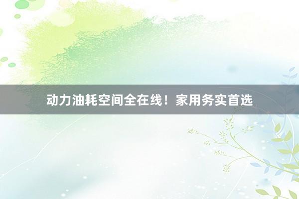动力油耗空间全在线！家用务实首选
