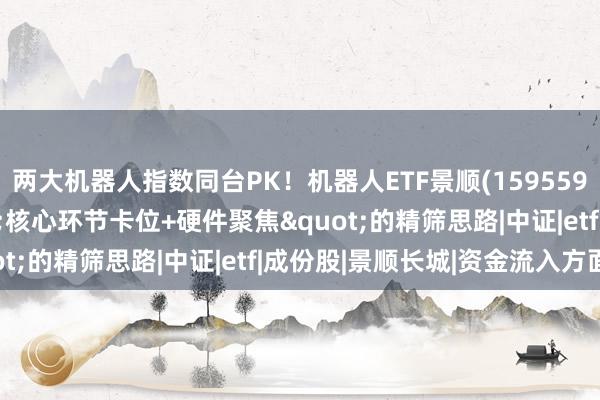 两大机器人指数同台PK！机器人ETF景顺(159559)标的指数贯彻"核心环节卡位+硬件聚焦"的精筛思路|中证|etf|成份股|景顺长城|资金流入方面