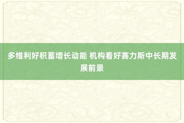 多维利好积蓄增长动能 机构看好赛力斯中长期发展前景