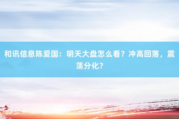 和讯信息陈爱国：明天大盘怎么看？冲高回落，震荡分化？