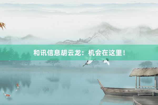 和讯信息胡云龙：机会在这里！