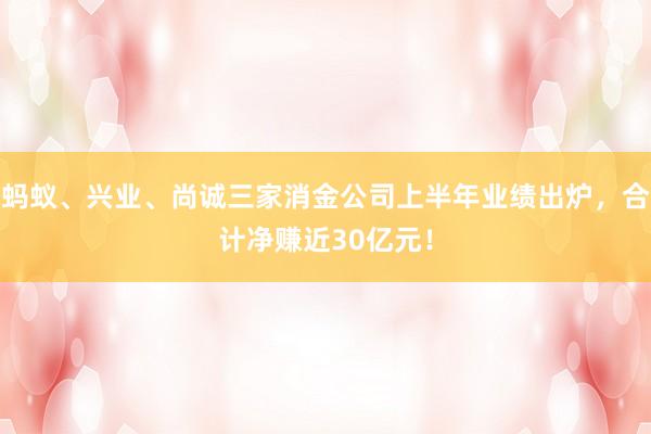 蚂蚁、兴业、尚诚三家消金公司上半年业绩出炉，合计净赚近30亿元！
