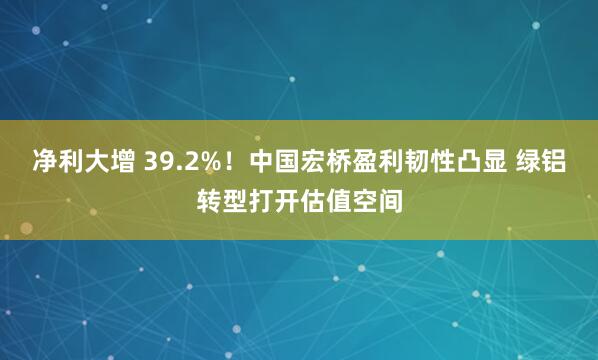 净利大增 39.2%！中国宏桥盈利韧性凸显 绿铝转型打开估值空间