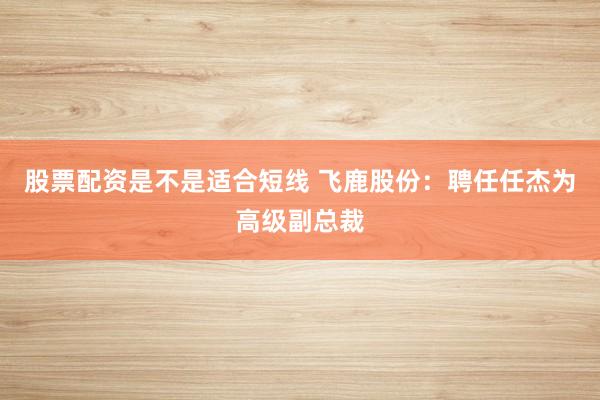 股票配资是不是适合短线 飞鹿股份：聘任任杰为高级副总裁