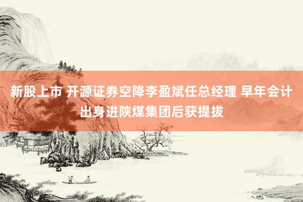 新股上市 开源证券空降李盈斌任总经理 早年会计出身进陕煤集团后获提拔