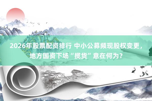 2026年股票配资排行 中小公募频现股权变更，地方国资下场“揽货”意在何为？