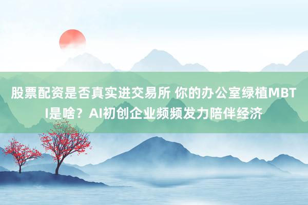 股票配资是否真实进交易所 你的办公室绿植MBTI是啥？AI初创企业频频发力陪伴经济