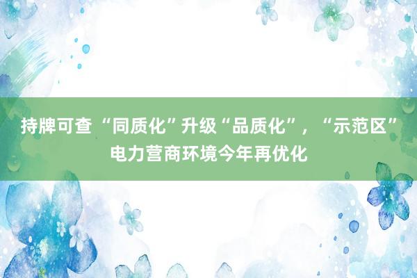 持牌可查 “同质化”升级“品质化”，“示范区”电力营商环境今年再优化