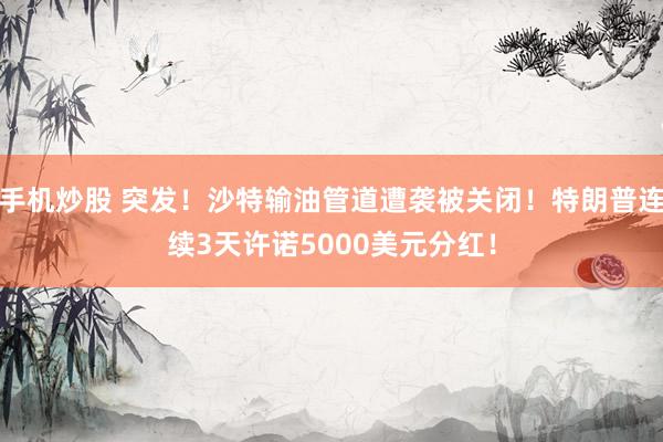 手机炒股 突发！沙特输油管道遭袭被关闭！特朗普连续3天许诺5000美元分红！