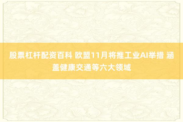 股票杠杆配资百科 欧盟11月将推工业AI举措 涵盖健康交通等六大领域
