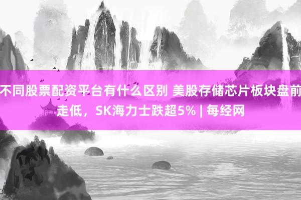 不同股票配资平台有什么区别 美股存储芯片板块盘前走低，SK海力士跌超5% | 每经网