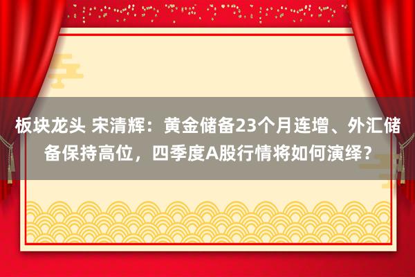 板块龙头 宋清辉：黄金储备23个月连增、外汇储备保持高位，四季度A股行情将如何演绎？